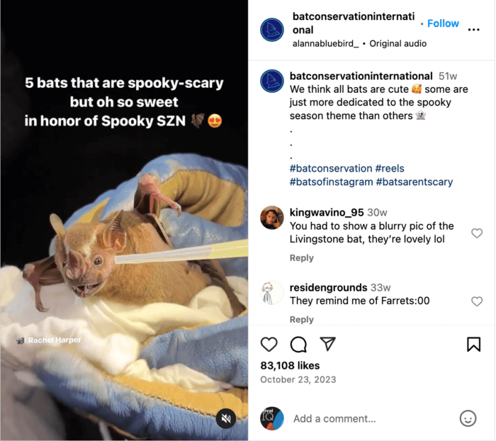 Nonprofit Instagram post by Bat Conservation International showcasing a cute bat for Spooky SZN, achieving 83.1K likes.